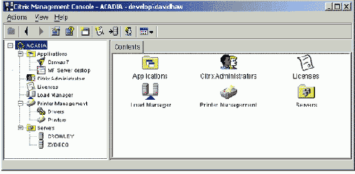 Данные, отображаемые в Citrix Management Console